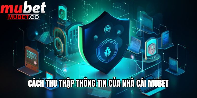 Cách thu thập thông tin của nhà cái Mubet