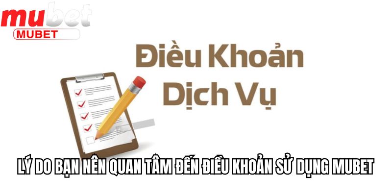 Lý do bạn nên quan tâm đến điều khoản sử dụng Mubet