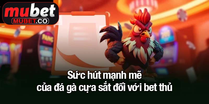 Sức hút mạnh mẽ của đá gà cựa sắt đối với bet thủ