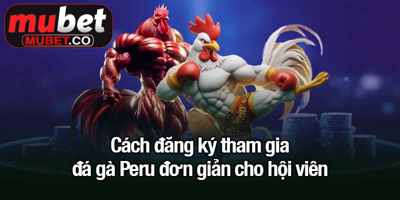 Cách đăng ký tham gia đá gà Peru đơn giản cho hội viên