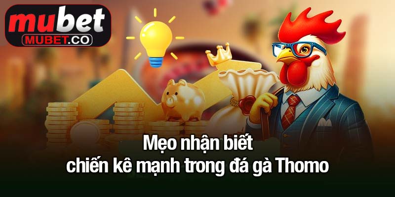 Mẹo nhận biết chiến kê mạnh trong đá gà Thomo