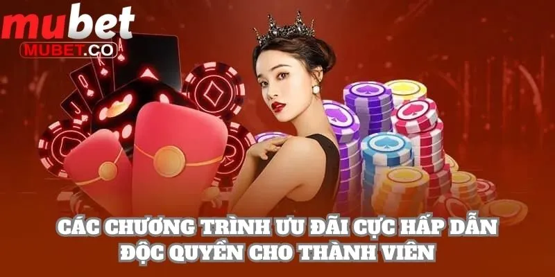 Các chương trình ưu đãi cực hấp dẫn độc quyền cho thành viên