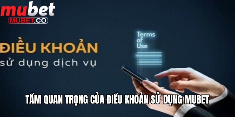 Tầm quan trọng của điều khoản sử dụng Mubet