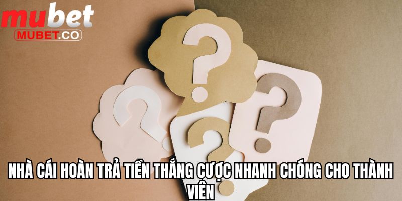 Nhà cái hoàn trả tiền thắng cược nhanh chóng cho thành viên